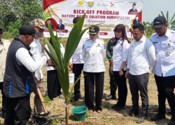 Kendal Jadi Lokasi Perdana Program Agroforestry Nasional, Bupati Tika Harap Genjot Sektor Pertanian