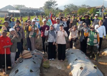 Respons Keluhan Petani, Bupati Kendal Turun Langsung Pimpin Gerdal Hama Tikus di Tabet