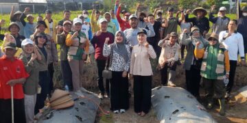 Bupati Kendal, Dyah Kartika Permanasari, turun langsung memimpin gerakan pengendalian hama tikus di Desa Tabet, Kecamatan Limbangan, Sabtu, 11 Juli 2026. (Anik Kustiani/Lingkarjateng.id)