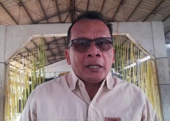 DKP Kendal Dukung Pembangunan Giant Sea Wall Jadi Solusi Rob dan Abrasi