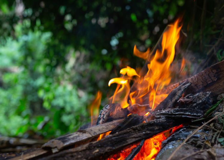 Dewan Pati Ajak Warga Lebih Waspada Saat Bakar Sampah hingga Lahan Sisa Panen 25 ILUSTRASI: Pembakaran sampah kayu. (jcomp from Magnific)