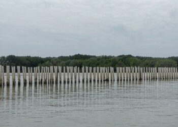 Pesisir Desa Surodadi, Kecamatan Sayung, Kabupaten Demak, yang rencananya akan dibangun Hybrid Sea Wall sebagai pengendali rob. (M. Burhanuddin Aslam/Lingkarjateng.id)