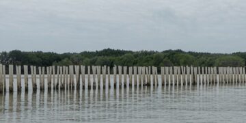 Pesisir Desa Surodadi, Kecamatan Sayung, Kabupaten Demak, yang rencananya akan dibangun Hybrid Sea Wall sebagai pengendali rob. (M. Burhanuddin Aslam/Lingkarjateng.id)