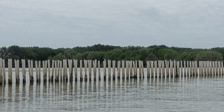 Hybrid Sea Wall Demak