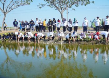 Gerakan aksi tanam mangrove di wilayah pesisir Demak.