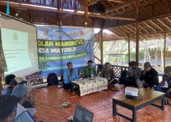 BPDAS Pemali Jratun bersama KTH Banawa Sekar menggelar kegiatan pemetaan sosial ekonomi masyarakat di Sekretariat KTH Banawa Sekar, Ekowisata Mangrove Mulyoasri, Desa Mulyorejo, Kecamatan Tirto, Kabupaten Pekalongan, Kamis, 16 Juli 2026. (dok for Lingkarjateng.id)