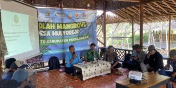 BPDAS Pemali Jratun bersama KTH Banawa Sekar menggelar kegiatan pemetaan sosial ekonomi masyarakat di Sekretariat KTH Banawa Sekar, Ekowisata Mangrove Mulyoasri, Desa Mulyorejo, Kecamatan Tirto, Kabupaten Pekalongan, Kamis, 16 Juli 2026. (dok for Lingkarjateng.id)