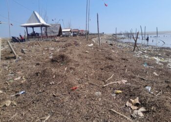 Kondisi Pantai di Desa Bulumanis Kidul, Kecamatan Margoyoso, Kabupaten Pati. (Lingkarjateng Group Network)