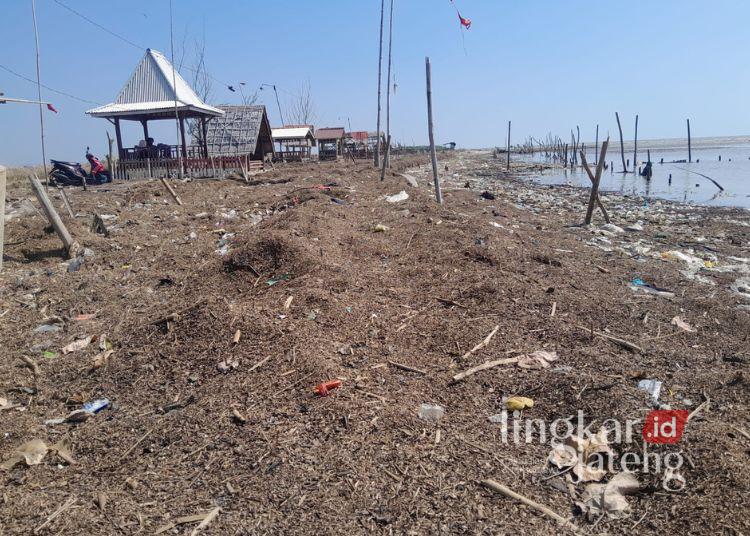 Limbah Industri Tapioka Diduga Cemari Pantai Bulumanis Kidul Pati, Warga Desak Penanganan 25 Kondisi Pantai di Desa Bulumanis Kidul, Kecamatan Margoyoso, Kabupaten Pati. (Lingkarjateng Group Network)