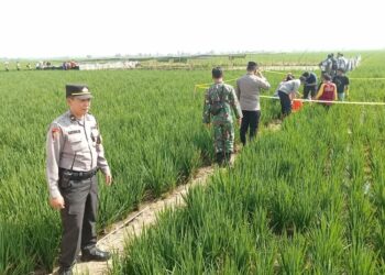 Ditemukan Tewas di Sawah, Perangkat Desa Kalipancur Pekalongan Ternyata Dibunuh 26 Personel Polres Pekalongan mengevakuasi jasad Rusyanto, Perangkat Desa Kalipancur, Kecamatan Bojong, Kabupaten Pekalongan, yang ditemukan di area persawahan desa setempat, Selasa pagi, 28 Juli 2026. (Humas Polres Pekalongan/Lingkarjateng.id)