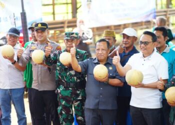 Desa Tegalombo Pati Disiapkan Jadi Percontohan Pertanian Modern