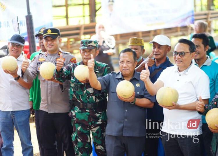 Desa Tegalombo Pati Disiapkan Jadi Percontohan Pertanian Modern 25 Plt Bupati Pati, Risma Ardhi Chandra, saat menghadiri kegiatan Panen Melon Desa Tegalombo, Kecamatan Dukuhseti, Sabtu, 18 Juli 2026. (Humas Pemkab Pati/Lingkarjateng.id)