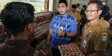 Wakil Gubernur Jawa Tengah, Taj Yasin Maimoen, meninjau peternakan ayam petelur di Desa Ayamputih, Kecamatan Buluspesantren, Kabupaten Kebumen, Selasa, 14 Juli 2026. (Lingkarjateng Group Network/Lingkarjateng.id)