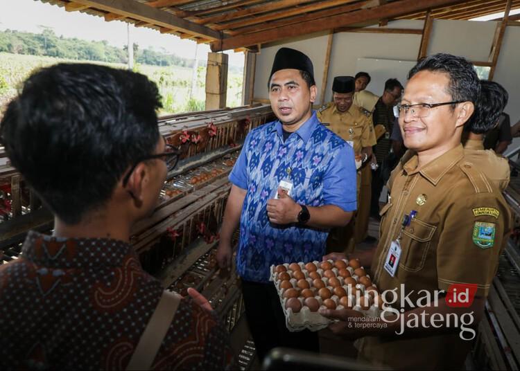 Didampingi Pemprov Jateng, Ekonomi Desa Ayamputih Kebumen Menggeliat 25 Wakil Gubernur Jawa Tengah, Taj Yasin Maimoen, meninjau peternakan ayam petelur di Desa Ayamputih, Kecamatan Buluspesantren, Kabupaten Kebumen, Selasa, 14 Juli 2026. (Lingkarjateng Group Network/Lingkarjateng.id)