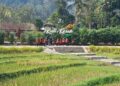 Pengunjung menikmati suasana alam di objek wisata Kalikesek di Desa Sriwulan, Kecamatan Limbangan, Kabupaten Kendal. (Anik Kustiani/Lingkarjateng.id)