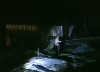 Kandang Ayam Broiler di Keling Jepara Terbakar, Pemilik Rugi Rp300 Juta
