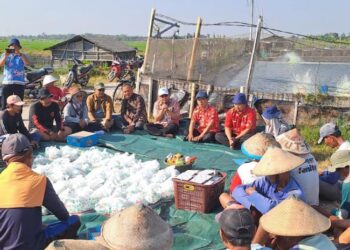 Program PITAP Sasar Kalirejo, DKP Kendal Dorong Peningkatan Produktivitas Perikanan