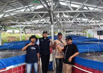 Budidaya ikan lele sistem bioflok tematik Koperasi Desa/Kelurahan Merah Putih (KDMP) Desa Sriwulan, Kecamatan Limbangan, Kabupaten Kendal. (Dok. Pribadi/Lingkarjateng.id)