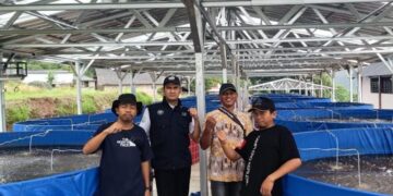 Budidaya ikan lele sistem bioflok tematik Koperasi Desa/Kelurahan Merah Putih (KDMP) Desa Sriwulan, Kecamatan Limbangan, Kabupaten Kendal. (Dok. Pribadi/Lingkarjateng.id)