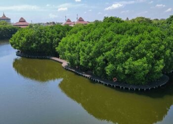 Salah satu destinasi Hutan Mangrove yang ada di kawasan PRPP Jawa Tengah. Foto : Dok.PT PRPP Jateng/Lingkar