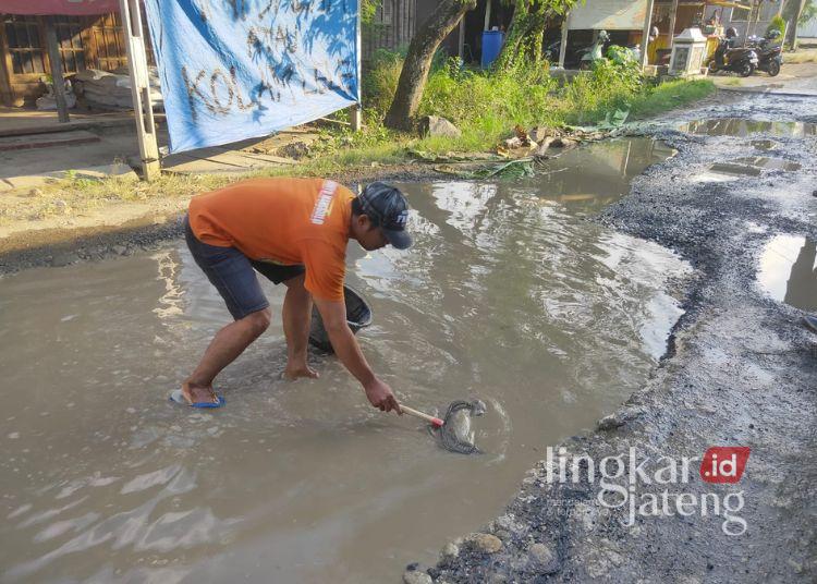 Warga melakukan aksi protes jalan rusak di ruas Godo-Sinomwidodo dengan melepaskan ikan lele di kubangan air. (Dok. Lingkarjateng.id)