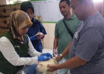 Vaksin Rabies Gratis Diserbu Pecinta Hewan di Pasar Tani Hari Jadi ke-285 Rembang