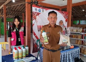 Tren Produktivitas Meningkat, Petani Kemetul Semarang Serius Kembangkan Padi Semi Organik