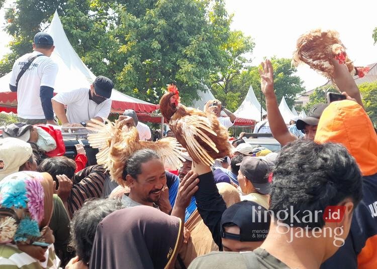 Warga berebut ayam gratis dalam aksi damai peternak ayam petelur di Alun-alun Kendal, Senin, 10 Agustus 2026. (Anik Kustiani/Lingkarjateng.id)
