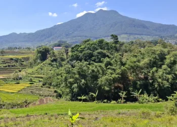 Gunung Ungaran di Kabupaten Semarang. (Hesty Imaniar/Lingkarjateng.id)
