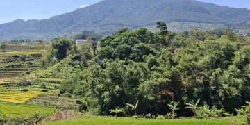 Gunung Ungaran di Kabupaten Semarang. (Hesty Imaniar/Lingkarjateng.id)