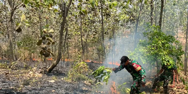 Personel TNI berjibaku memadamkan api yang membakar lahan milik Perum Perhutani di kawasan RPH Magangan Petak 87, Desa Jatirejo, Kecamatan Pegandon, Kabupaten Kendal, Senin siang, 24 Agustus 2026. (Anik Kustiani/Lingkarjateng.id)