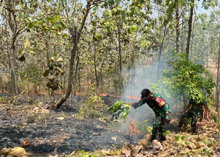 Personel TNI berjibaku memadamkan api yang membakar lahan milik Perum Perhutani di kawasan RPH Magangan Petak 87, Desa Jatirejo, Kecamatan Pegandon, Kabupaten Kendal, Senin siang, 24 Agustus 2026. (Anik Kustiani/Lingkarjateng.id)