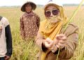 Kepala Bidang Tanaman Pangan Dispaperta Batang, Rini Diana Anggiani, meninjau lahan padi biosalin di Desa Depok, Kecamatan Kandeman, Kabupaten Batang, Senin, 10 Agustus 2026. (Humas Pemkab Batang/Lingkarjateng.id)