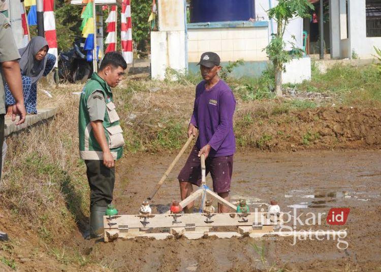 Penyuluh pertanian mempraktikkan tanam padi pakai Pertanian Modern–Advanced Agricultural System (PMAAS) di lahan Kelompok Tani Juwono, Dukuh Ndoplang, Desa Wonosari, Kecamatan Karanganyar, Kabupaten Pekalongan, Senin, 3 Agustus 2026. (Fahri Akbar/Lingkarjateng.id)