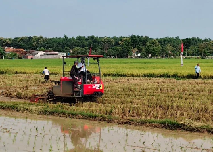 ILUSTRASI: Petani mengoperasikan mesin pertanian modern di Kabupaten Rembang. (dok for Lingkarjateng.id)