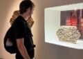 TATAH 2026 Berakhir Sukses, Pameran Jilid 2 Bakal Dirangkai Agenda di Jepara Tahun 2027 35 Salah satu pengunjung melihat karya ukir Pameran TATAH 2026: Suluk–Sulur–Jepara di Museum Nasional Indonesia. (dok for Lingkarjateng.id)