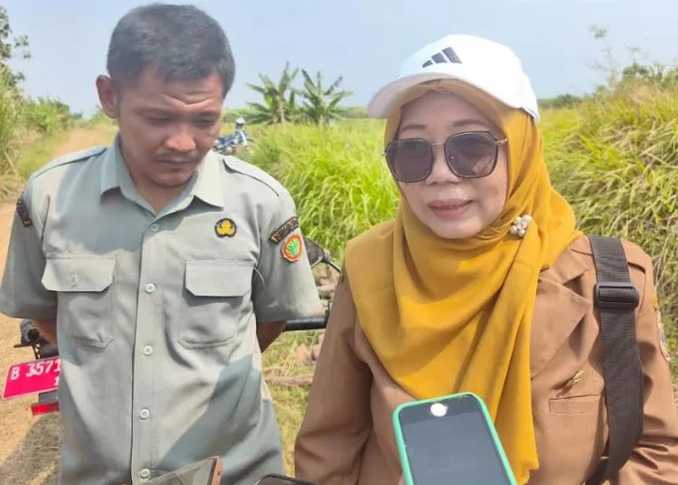 Kepala Bidang Tanaman Pangan Dispaperta Batang Diana Anggraeni. (Pemkab Batang/Lingkarjateng.id)