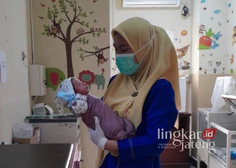 8 Bayi di Kudus Lahir Tepat pada Perayaan HUT ke-81 RI 25 Salah satu bayi yang lahir di RS Aisyiyah Kudus pada perayaan HUT ke 81 Kemerdekaan RI, Senin, 17 Agustus 2026. (Nisa Hafuzhotus S/Lingkarjateng.id)