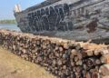 Tumpukan kayu yang diduga berasal dari hasil penebangan liar mangrove ditemukan di kawasan pesisir Kecamatan Wonokerto, Kabupaten Pekalongan, Senin, 3 Agustus 2026. (Dok. for Lingkarjateng.id)  