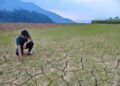 Petani Pekalongan Keluhkan Irigasi Tak Memadai di Tengah Kekeringan, Harapkan Perhatian Pemerintah 35 Kondisi sawah yang mengalami kekeringan di Dusun Petungkon, Desa Tembelanggunung, Kecamatan Lebakbarang, Kabupaten Pekalongan. Tanah sawah tampak retak-retak akibat minimnya pasokan air selama musim kemarau, Minggu, 9 Agustus 2026 sore. (Fahri Akbar/Lingkarjateng.id)