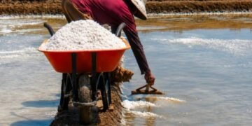 Petani garam di Kecamatan Lasem, Kabupaten Rembang, tengah memanen garam saat musim kemarau. (Vicky Rio/Lingkarjateng.id)