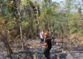 Petugas gotong royong memadamkan api di lahan hutan Petak 191A RPH Bedoyo, BKPH Kragilan, sekitar Dusun Ngeragem, Desa Simo, Kecamatan Kradenan, Kabupaten Grobogan pada Minggu, 6 September 2026. (dok for Lingkarjateng.id)