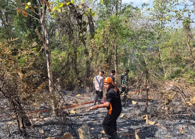 Petugas gotong royong memadamkan api di lahan hutan Petak 191A RPH Bedoyo, BKPH Kragilan, sekitar Dusun Ngeragem, Desa Simo, Kecamatan Kradenan, Kabupaten Grobogan pada Minggu, 6 September 2026. (dok for Lingkarjateng.id)