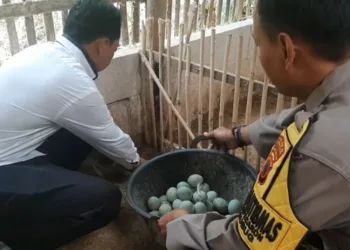 Badan Usaha Milik Desa (BUMDes) Mulya Sejati di Desa Jatipecaron, Kecamatan Gubug, Kabupaten Grobogan. Foto : Dok.Pribadi/Lingkar