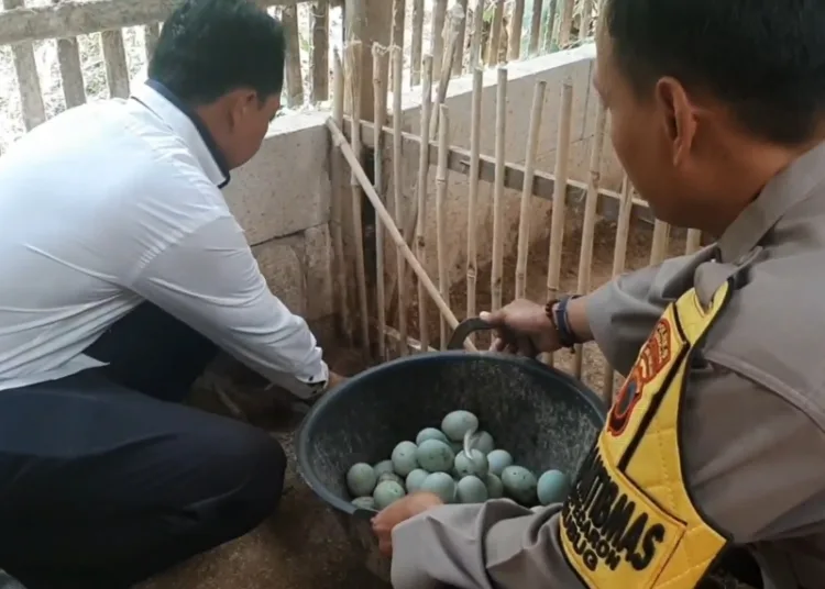 Badan Usaha Milik Desa (BUMDes) Mulya Sejati di Desa Jatipecaron, Kecamatan Gubug, Kabupaten Grobogan. Foto : Dok.Pribadi/Lingkar