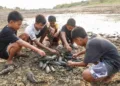 Sejumlah anak melihat ikan sapu-sapu di Bendung Karet Sungai Juana Kabupaten Pati. (Dok for Lingkarjateng id)