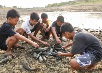 Sejumlah anak melihat ikan sapu-sapu di Bendung Karet Sungai Juana Kabupaten Pati. (Dok for Lingkarjateng id)