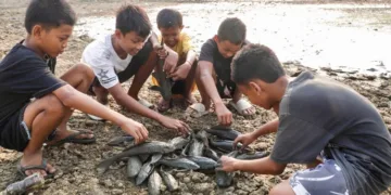Sejumlah anak melihat ikan sapu-sapu di Bendung Karet Sungai Juana Kabupaten Pati. (Dok for Lingkarjateng id)