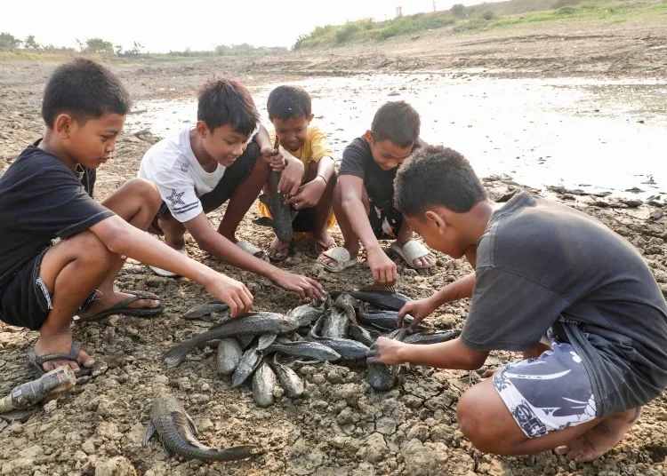 Sejumlah anak melihat ikan sapu-sapu di Bendung Karet Sungai Juana Kabupaten Pati. (Dok for Lingkarjateng id)
