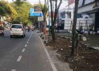 ILUSTRASI: Progres Perbaikan trotoar di Jalan Sudirman, Kabupaten Pati pada 2026. (dok for Lingkarjateng.id)